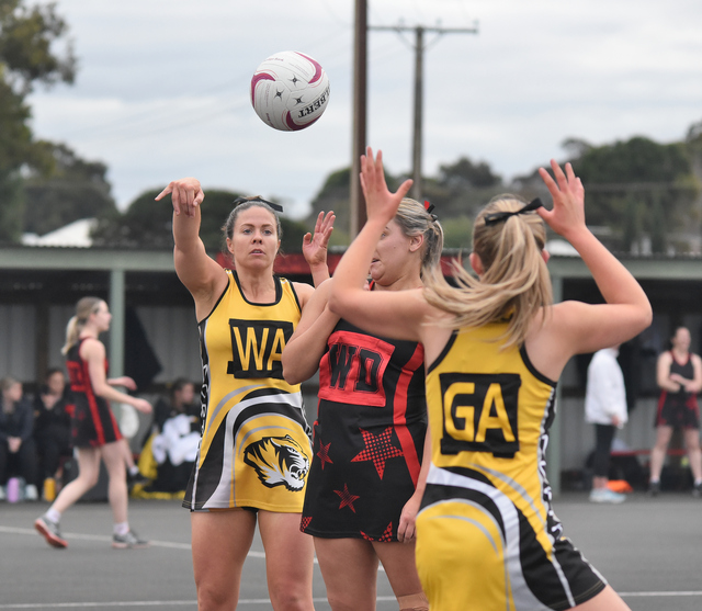 Tigers win at the Kennel Limestone Coast Today