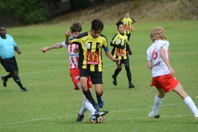 Naracoorte United v Apollo soccer | REPORTS