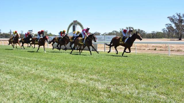 Bordertown ready to race