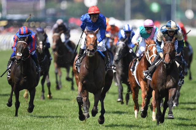 Apsley’s Tom Porter has no luck in Melbourne Cup