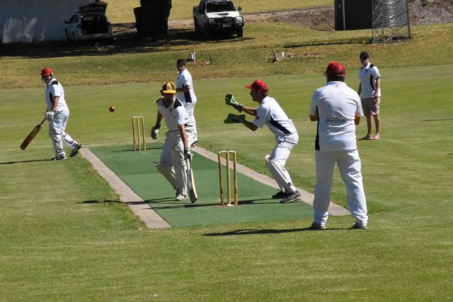 Naracoorte cricket gets interesting | PHOTOS