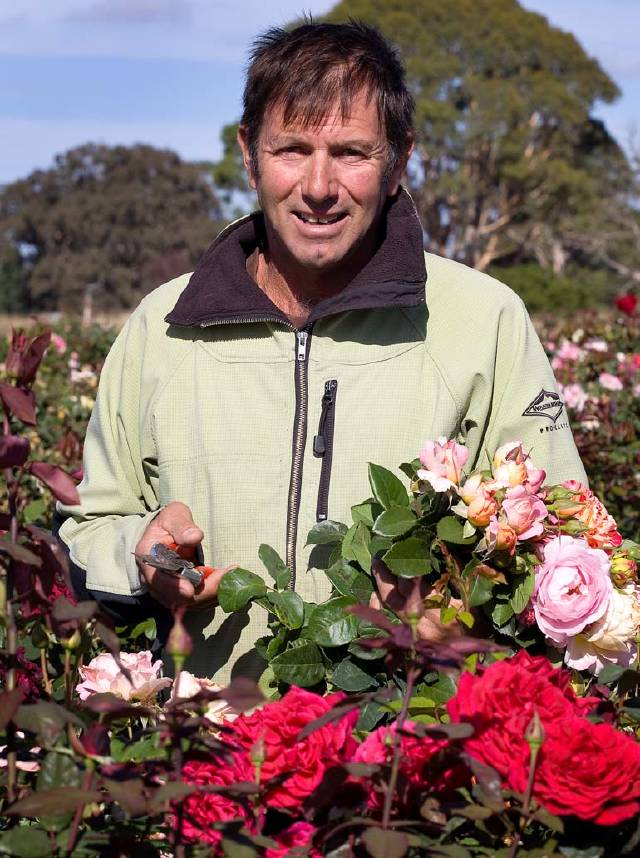 From little things, big things grow