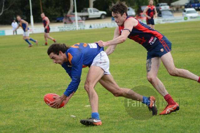 Naracoorte v Padthaway football/netball | PHOTOS