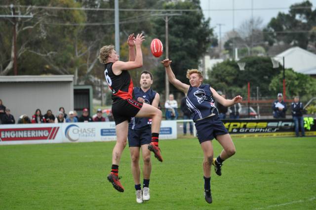 SE zone senior carnival | PHOTOS