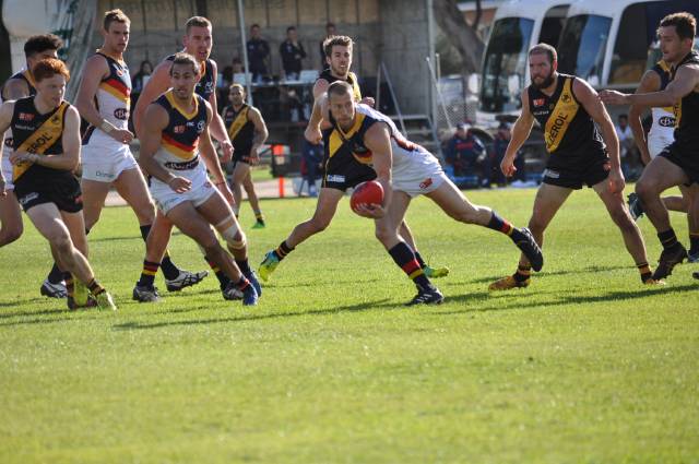 Glenelg v Adelaide Crows at Bordertown | PHOTOS