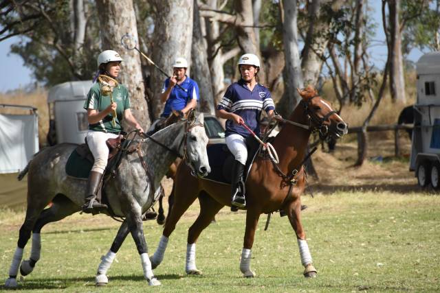 Naracoorte polocrosse tournament | PHOTOS