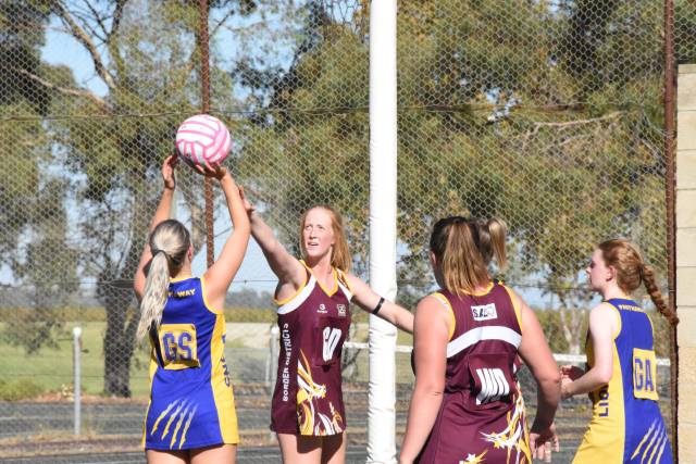 Padthaway v Border Districts netball | PHOTOS