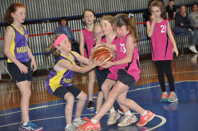 Naracoorte junior basketball | PHOTOS