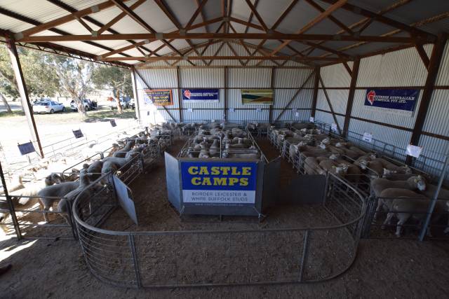 Noted for a good, natural doing ability