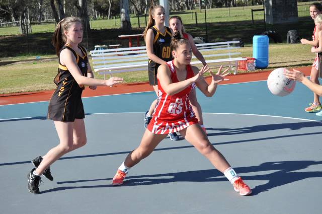 Bordertown v Kyby footy/netball | PHOTOS