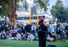 Council partnership for Fringe Berrin