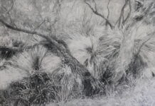 Finalist selection for local artist