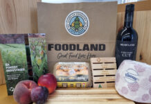 150 years of forestry celebrated