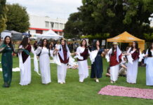 2025 Festival on the Green