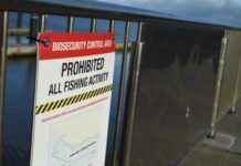 No abalone collecting