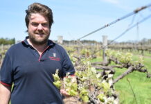 New leadership program announced