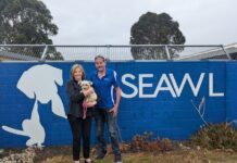 Rehoming partnership agreement extended