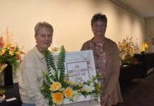 Blooms on show at Port MacDonnell