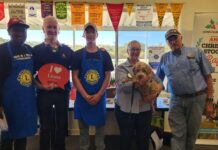 Volunteer opportunities highlighted