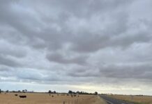 Call for drought emergency