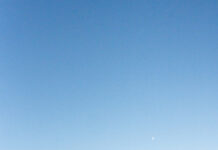 Forestry land acquisition