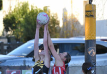 Tigers show no mercy