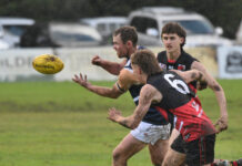 Sport Academy flies solo