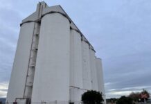 Viterra and Bunge Global merge
