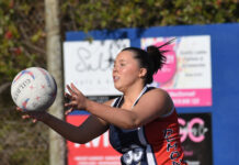 All tied up at home of Hawks