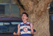 Cats dig claws in for comeback win