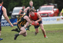 Demons lift against Mozzies