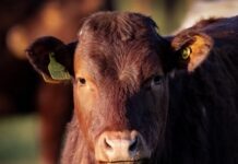 Market reports August 1