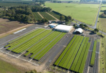 New forests begin as season ends