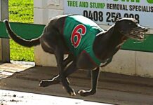 Aston Darwin finds winning form for local owner-trainer