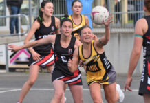 Strong start sets up North win