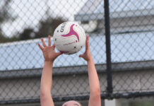 Cats pounce on visiting Eagles