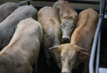 Market reports September12