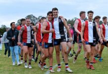 Saints show strength to roll over Crows