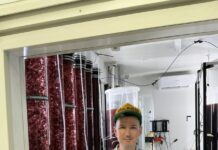 Learn about seaweed use in farming