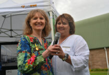 Celebrating 50 years of Beachport Primary School