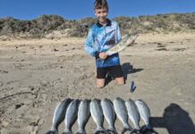 Tuna spotted off the coast