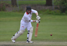 Marks explodes with four-wicket bonanza