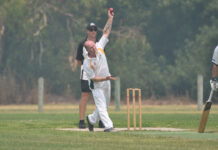 Saints claim tough victory over Mozzies