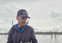 Windows of opportunity open