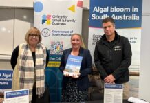 How to access business support through algal bloom