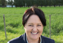 Confidence climbs to four-year high