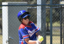 Demons too hot for Concordes