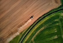 Farmland values plateau