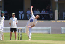 Tigers prove too strong for Mil Lel