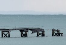 Robe ramps up community advocacy